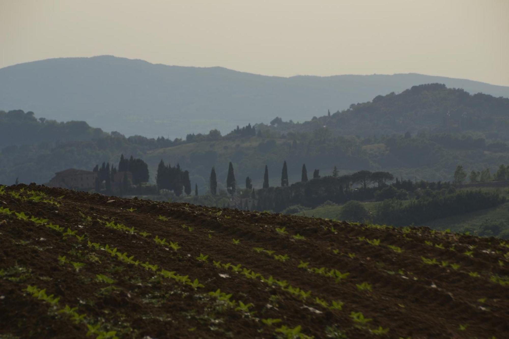 Agriturismo La Casetta Del Sole Villastrada  Eksteriør bilde